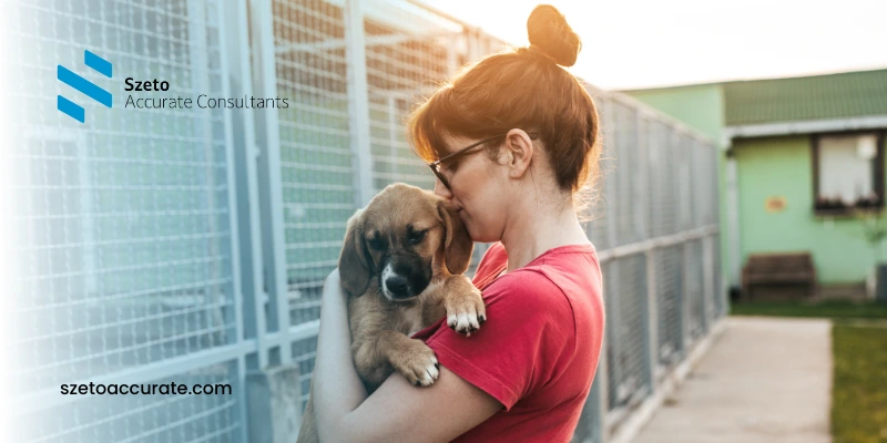 Animal Shelter adalah Tempat Penyelamatan Hewan Terlantar