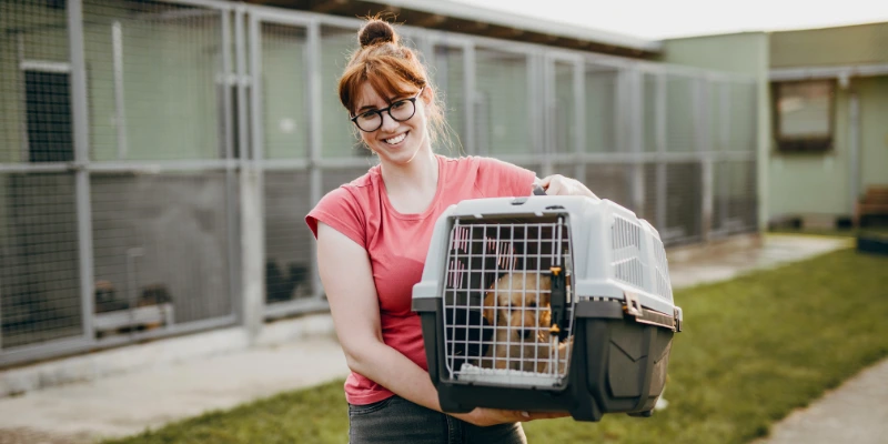 Peran Sukarelawan dalam Animal Shelter